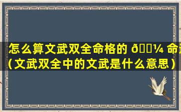 怎么算文武双全命格的 🌼 命运（文武双全中的文武是什么意思）